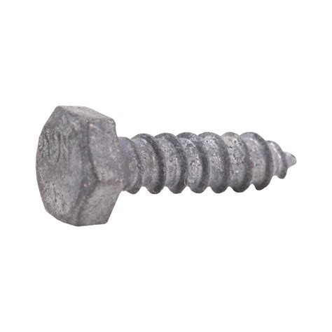 galvanized screws home depot